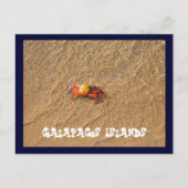 Galapagos Briefkaart (Voorkant)