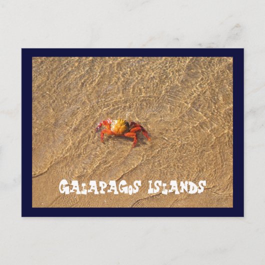 Galapagos Briefkaart (Voorkant)
