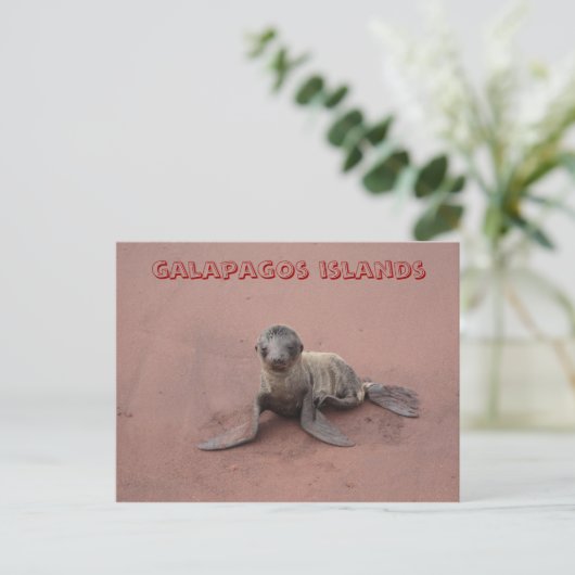 galapagos briefkaart (Staand voorkant)