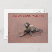 galapagos briefkaart (Voorkant / Achterkant)
