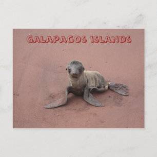 galapagos briefkaart