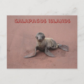 galapagos briefkaart