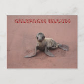 galapagos briefkaart (Voorkant)