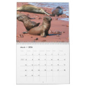 Galapagos Calendar Kalender (Mar 2026)