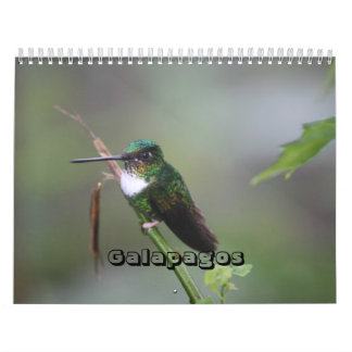 Galapagos Calendar Kalender