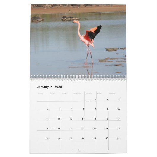 Galapagos Calendar Kalender (Jan 2026)