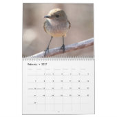 Galapagos Calendar Kalender (Feb 2027)