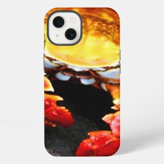 Galapagos Crab iPhone 13 Hoesje