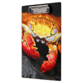 Galapagos Crab Klembord (Links)