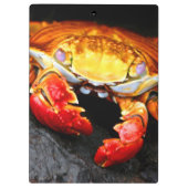 Galapagos Crab Klembord (Achterkant)