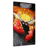 Galapagos Crab Klembord (Rechts)