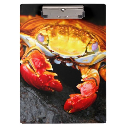 Galapagos Crab Klembord (Voorkant)