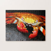 Galapagos Crab Legpuzzel (Horizontaal)