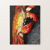 Galapagos Crab Legpuzzel (Verticaal)