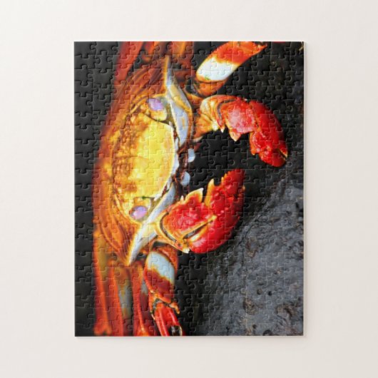 Galapagos Crab Legpuzzel (Verticaal)