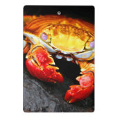Galapagos Crab Mini Klembord (Achterkant)