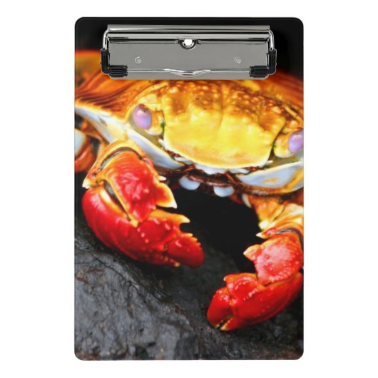 Galapagos Crab Mini Klembord (Voorkant)