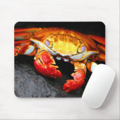 Galapagos Crab Muismat (Met muis)