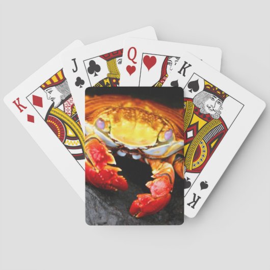 Galapagos Crab Speelkaarten (Achterkant)