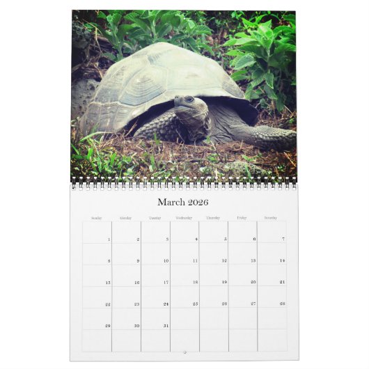 Galapagos dieren 2025 kalender (Mar 2026)