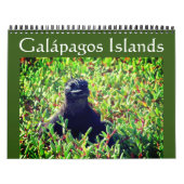 Galapagos dieren 2025 kalender (Hoes)
