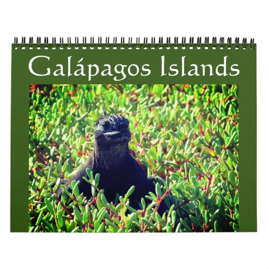 Galapagos dieren 2025 kalender (Hoes)