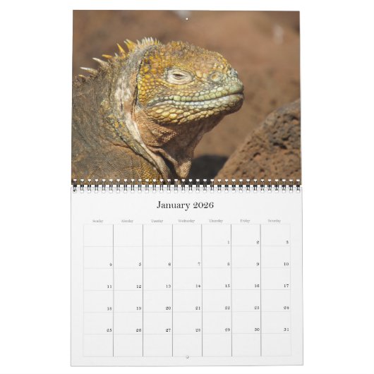 Galapagos dieren 2025 kalender (Jan 2026)
