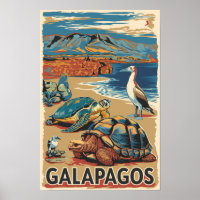 Galapagos Dieren Reis Kunst Antiek