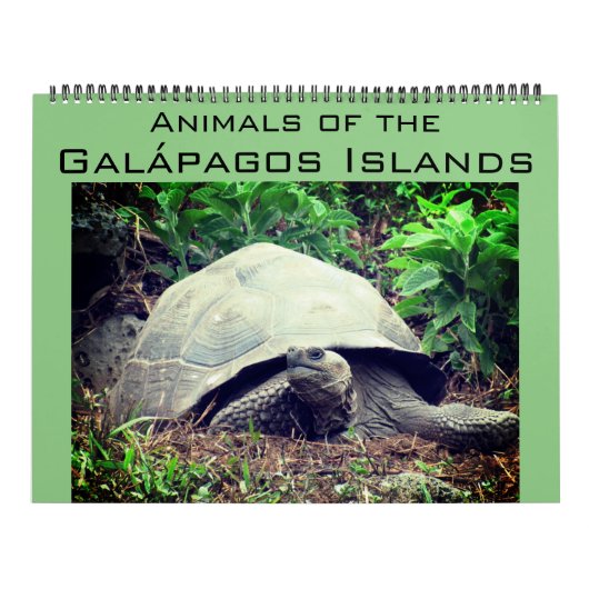 Galapagos eilanden dieren 2025 groot kalender (Hoes)