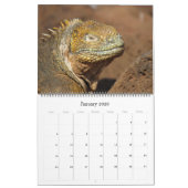 Galapagos eilanden dieren 2025 groot kalender (Jan 2026)