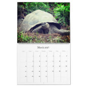 Galapagos eilanden dieren 2026 groot kalender (Mar 2027)