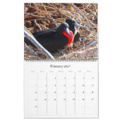 Galapagos eilanden dieren 2026 groot kalender (Feb 2027)