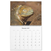 Galapagos eilanden dieren 2026 groot kalender (Jan 2027)