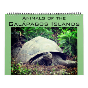 galapagos eilanden dieren 2027 groot kalender