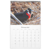 Galapagos-eilanden dieren in het wild kalender (Feb 2027)