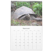 Galapagos-eilanden dieren in het wild kalender (Mar 2027)