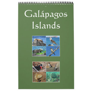 Galapagos-eilanden dieren in het wild kalender