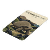 Galapagos-eilanden Ecuador Magneet (Linkerzijde)