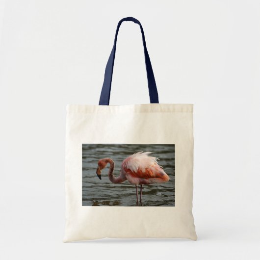 Galapagos-eilanden Flamingo Tote Bag (Voorkant)