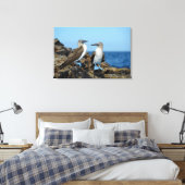 Galapagos-eilanden, Isabela eiland Canvas Afdruk (Insitu (Slaapkamer))