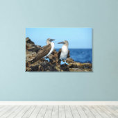 Galapagos-eilanden, Isabela eiland Canvas Afdruk (Insitu (Houten vloer))