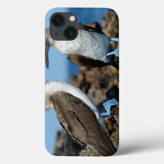 Galapagos-eilanden, Isabela-eiland Case-Mate iPhone Case (Achterkant)