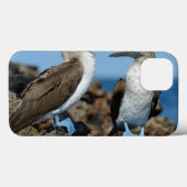 Galapagos-eilanden, Isabela-eiland Case-Mate iPhone Case (Achterkant (horizontaal))