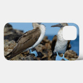 Galapagos-eilanden, Isabela eiland Case-Mate iPhone Case (Achterkant (horizontaal))
