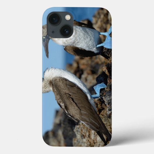 Galapagos-eilanden, Isabela eiland Case-Mate iPhone Case (Achterkant)