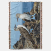 Galapagos-eilanden, Isabela eiland Deken (Voorkant Verticaal)