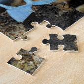 Galapagos-eilanden, Isabela eiland Legpuzzel (Zijkant)