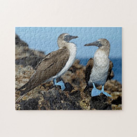 Galapagos-eilanden, Isabela eiland Legpuzzel (Horizontaal)