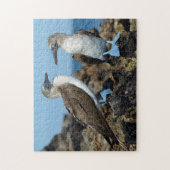 Galapagos-eilanden, Isabela eiland Legpuzzel (Verticaal)