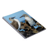 Galapagos-eilanden, Isabela eiland Notitieboek (Rechterzijde)